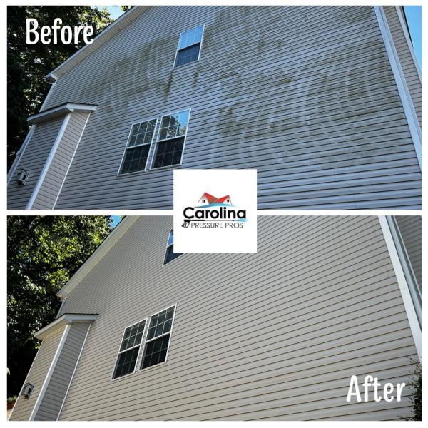 Carolina Pressure Professionals