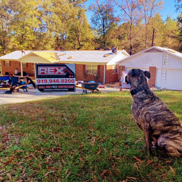 Rex Construction LLC