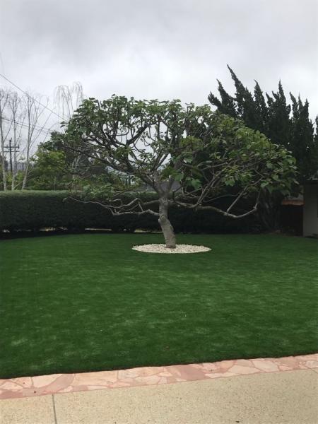 Silver Tree Service Inc.