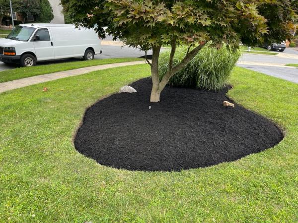 RG Landscaping Services