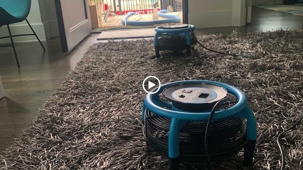 Quick Dri Carpet and Tile Cleaning