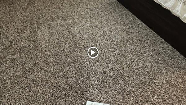Quick Dri Carpet and Tile Cleaning