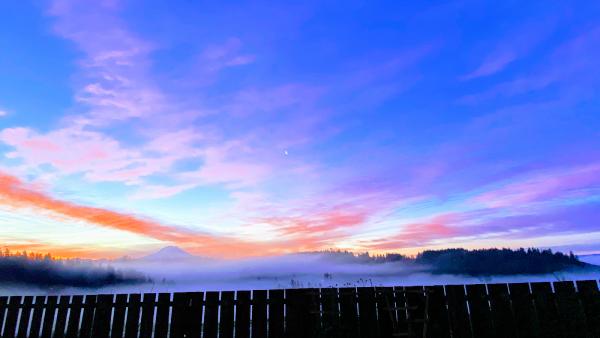 Lake Tapps Landscaping
