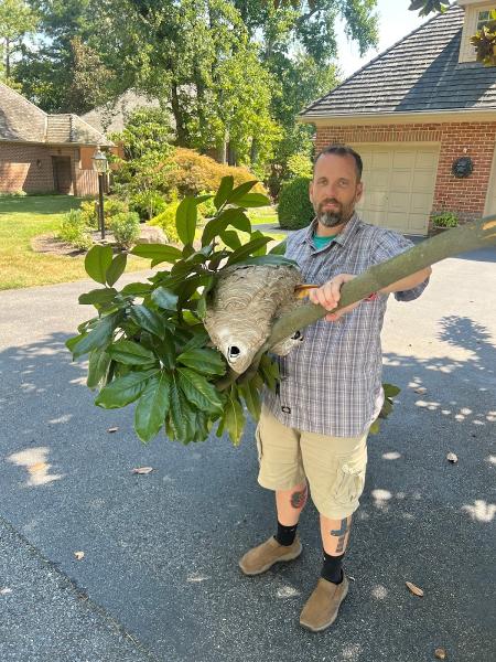 D&D Lawn and Pest