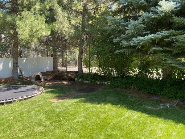 Wasatch BS Junk Removal
