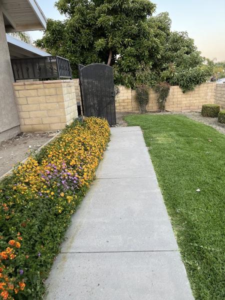 Elawns Landscape Tree Services