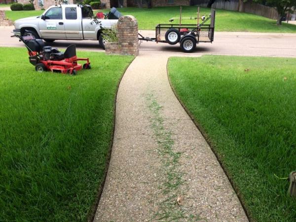 Really Nice and Affordable Lawn Service