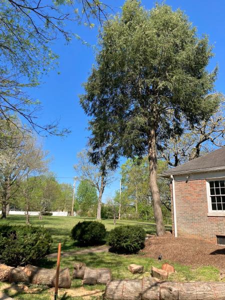 Givens Tree Care