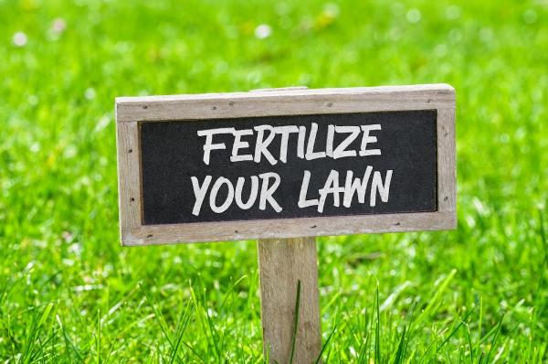 World Class Lawns