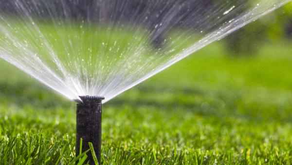 Spartan Irrigation