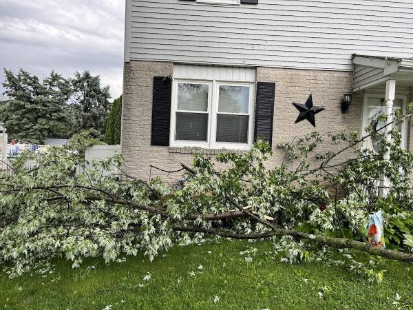Adam's Tree Service PA