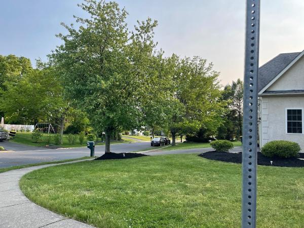 Adam's Tree Service PA