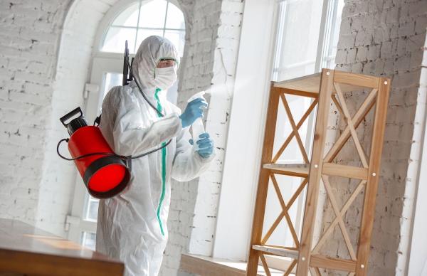 Mold Experts