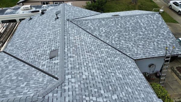 Spring Roofing