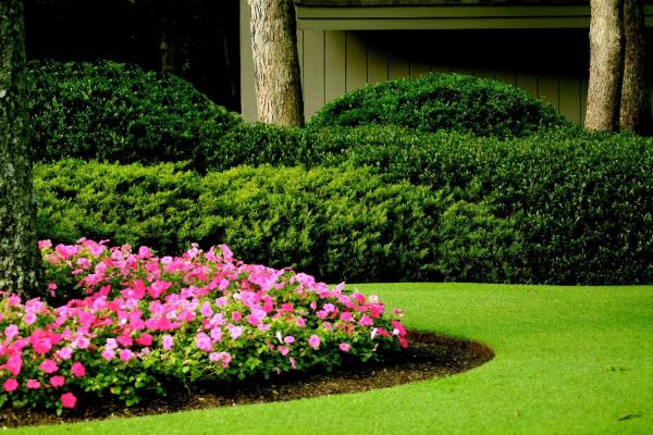 Cerami Lawns