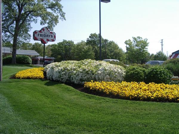Cerami Lawns