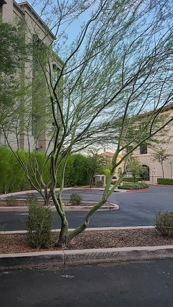 Luster Custom Homes & Remodeling