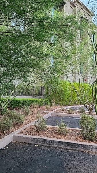 Luster Custom Homes & Remodeling