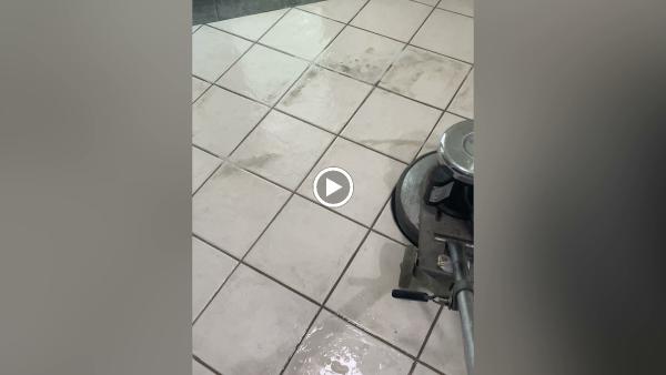 Toro Clean