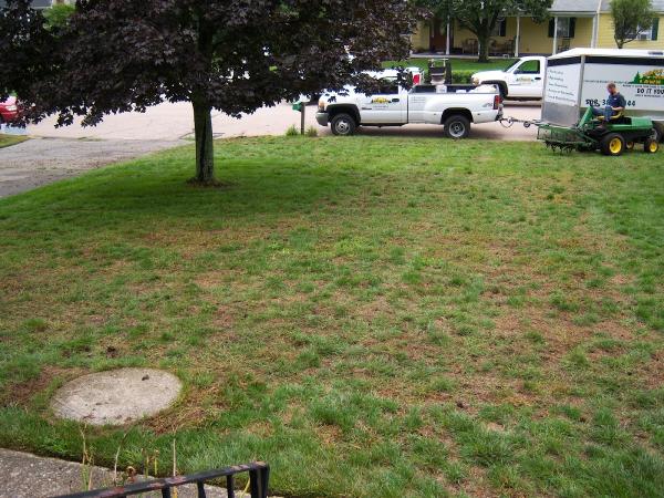 Simply Safer Premium Lawn Care Inc.