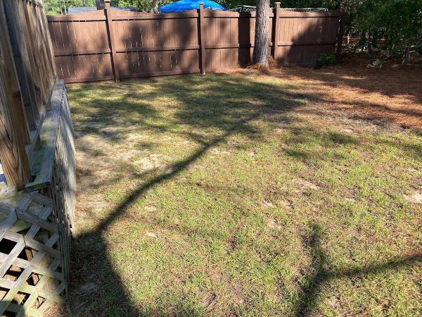 Blessed Creations Lawn Care