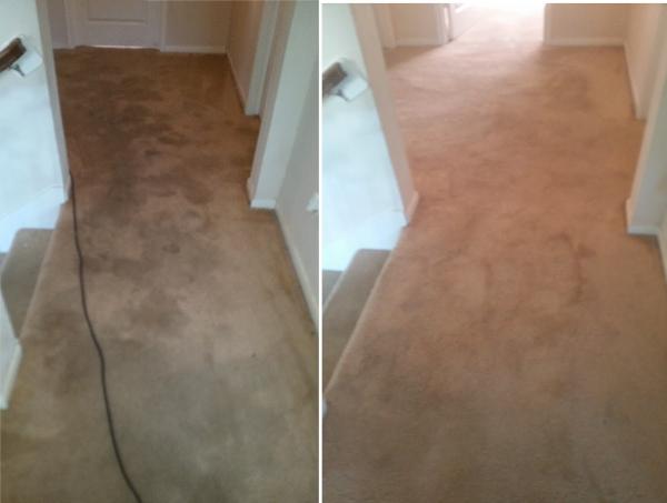 Ecofresh Services