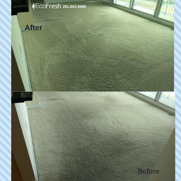 Ecofresh Services