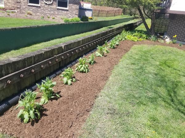 Clean Cut Landscaping