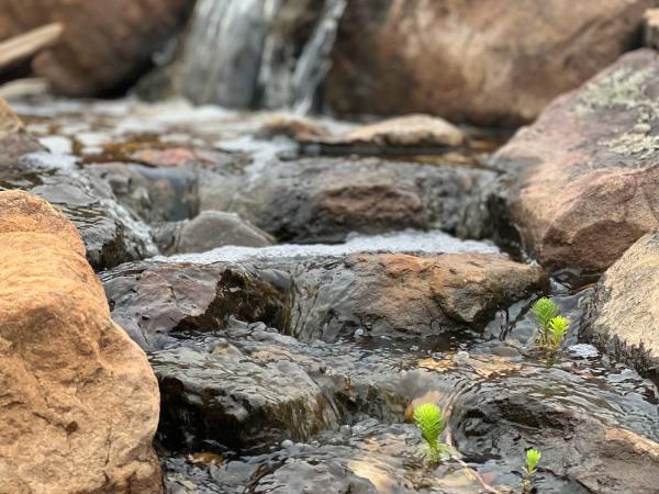 Oklahoma Ponds