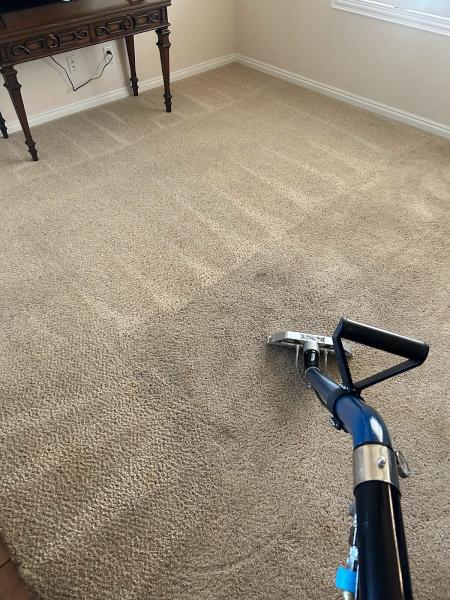 True North Carpet Cleaning