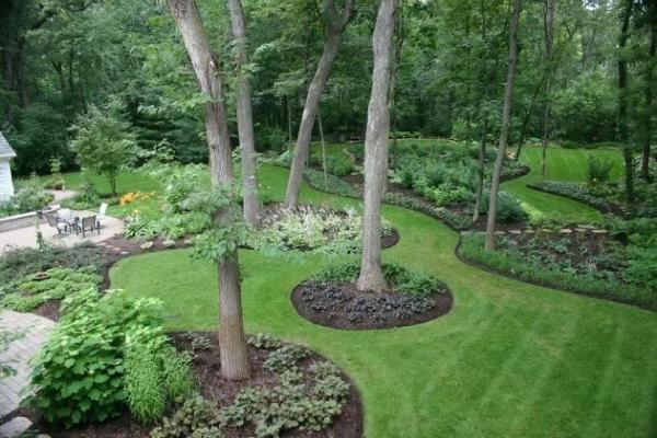 D&D Lawn Service