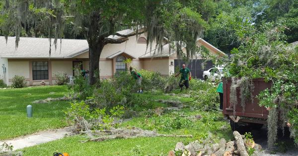 New Lenox Tree Services