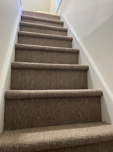 Bay Carpet