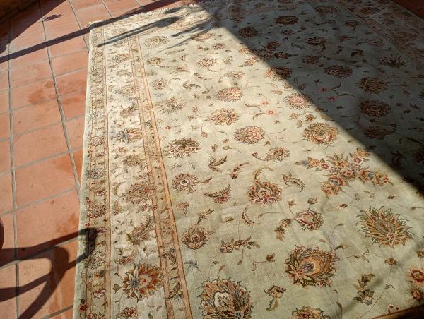 Mr. Tomas' Carpet Cleaning Services