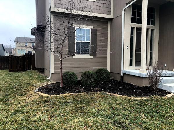 Big Woods Tree Care Inc.