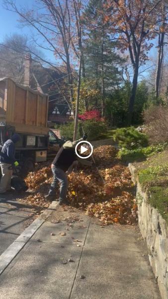 Green Moon Landscaping and Irrigation Inc