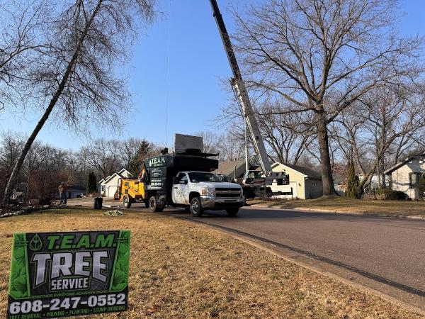 Team Tree Service