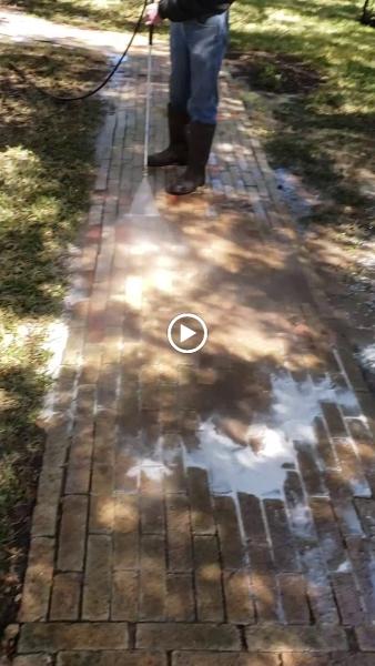 Organic Carpet Care & Home Services