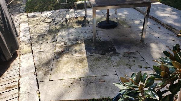 Organic Carpet Care & Home Services