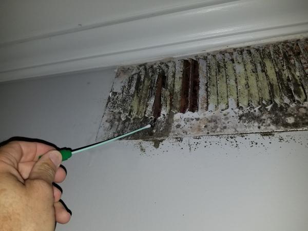 Atlanta Mold Testing Services