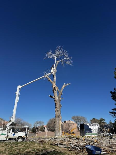 Robert's Tree Service LLC