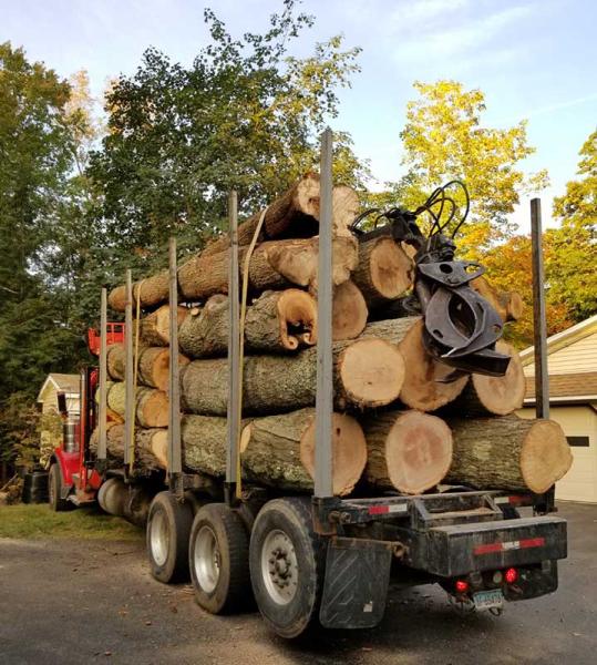 KDF Tree and Landscape LLC