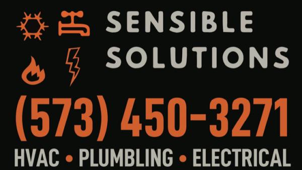 Sensible Solutions Services
