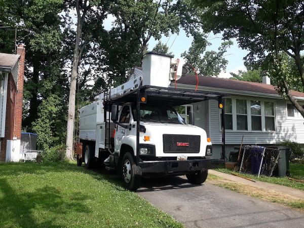 Evolution Tree Service