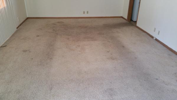 Mel's Carpet Cleaning