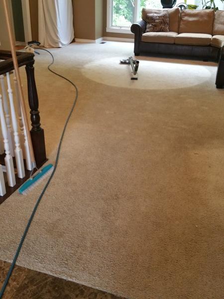 Mel's Carpet Cleaning