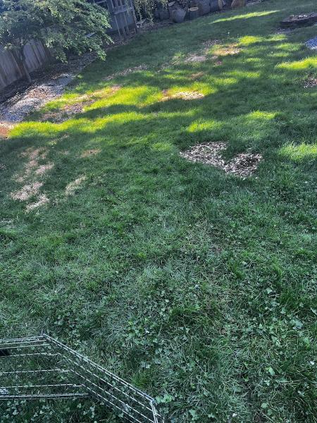 P'n'd Logging and Tree Service