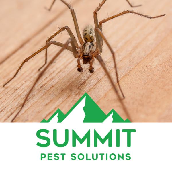 Summit Pest Solutions