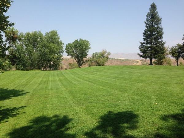 Foley Lawn Care