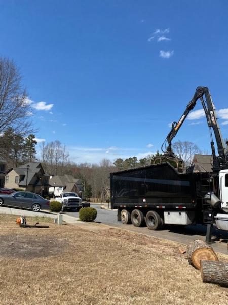 Prime Arbor Tree Specialists